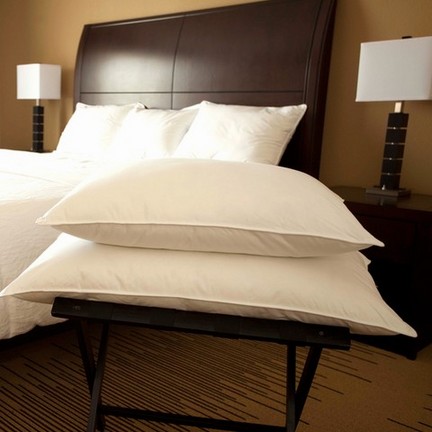 Goose down pillow 3