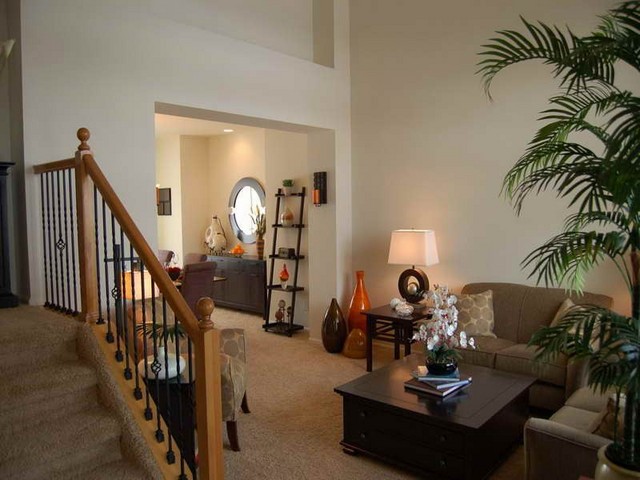 Design living room on a budget