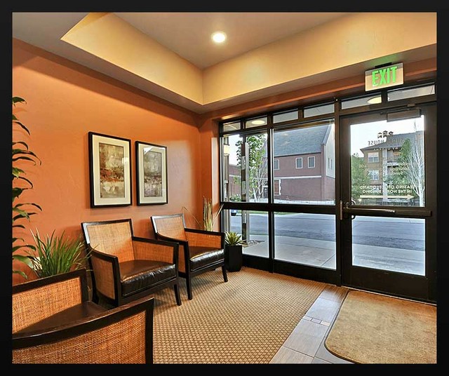 One bedroom apartments rent