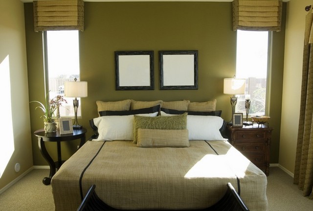 Bedroom paint ideas earth tones