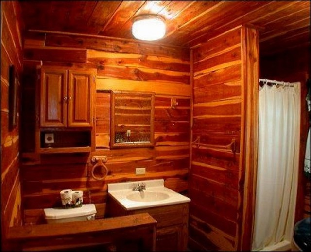 Cabin Shower Curtains