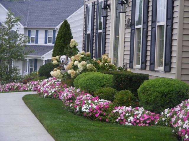 Small Front Yard Landscaping Ideas Front Yard Flower Beds