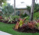 Tropical Landscaping Sarasota