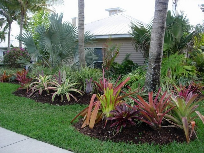 Tropical Landscaping Sarasota