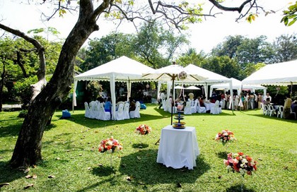 Backyard Tent Bridal Shower