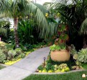 Tropical Landscaping Boynton Beach