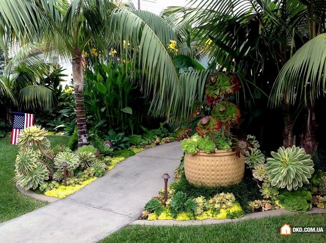 Tropical Landscaping Boynton Beach