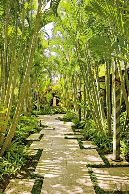 Tropical Landscaping Ideas For Backyard