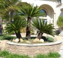 Tropical Landscaping Antigua