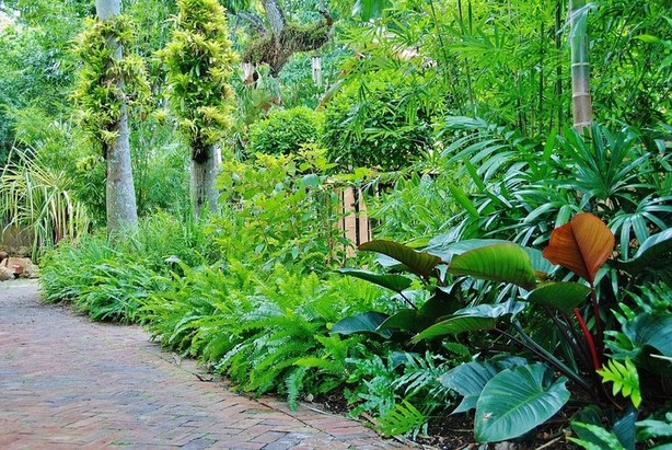 Tropical American Landscaping