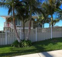 Tropical Landscaping Texas