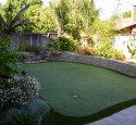 Tropical Landscaping Plants