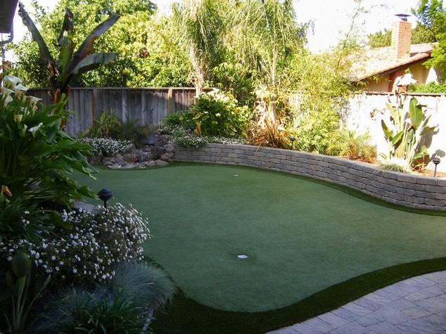 Tropical Landscaping Plants