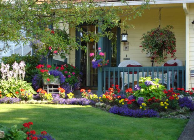 New Front Yard Garden Ideas
