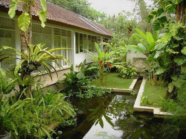 Tropical Landscaping Ideas For Front Yard