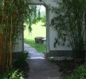 Tropical Landscaping Trees