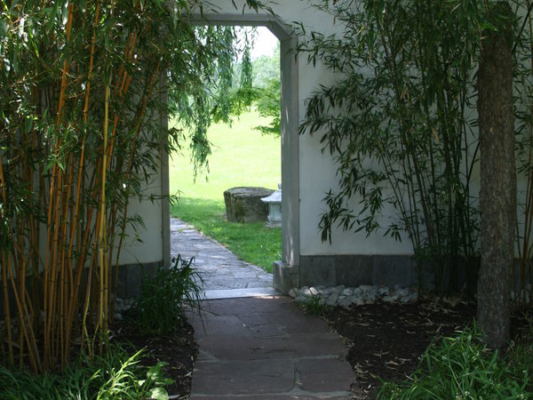 Tropical Landscaping Trees
