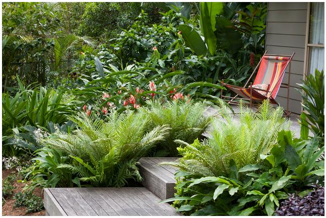 Tropical Landscaping In Florida