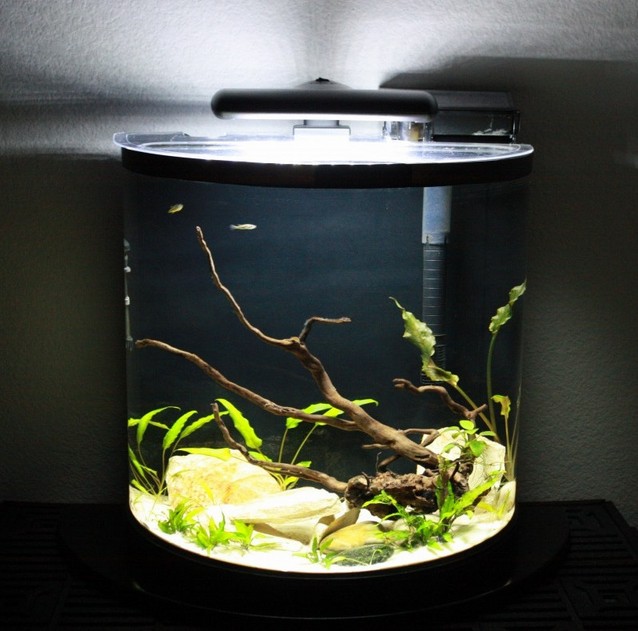 Marineland 20 Gallon Aquarium
