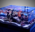 Edge Rimless Aquarium