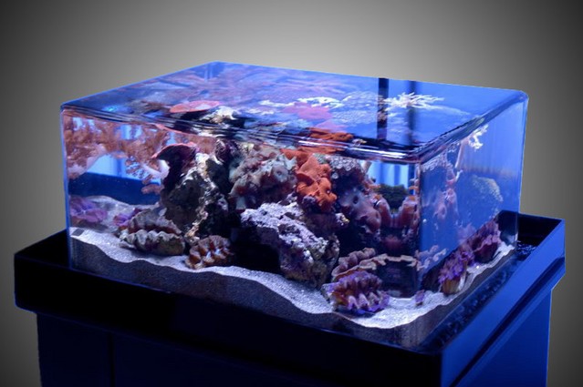 Edge Rimless Aquarium