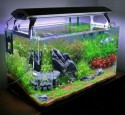 Image For Rimless Aquarium