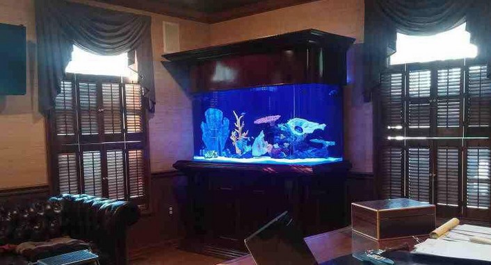 300 Gallon Aquarium Glass