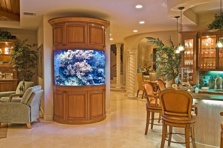 300 Gallon Tall Aquarium
