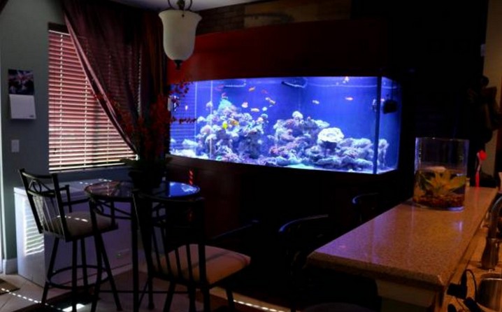 200 Gallon Reef Ready Aquarium
