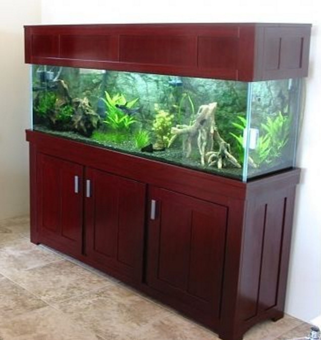 200 Gallon Aquarium Hood