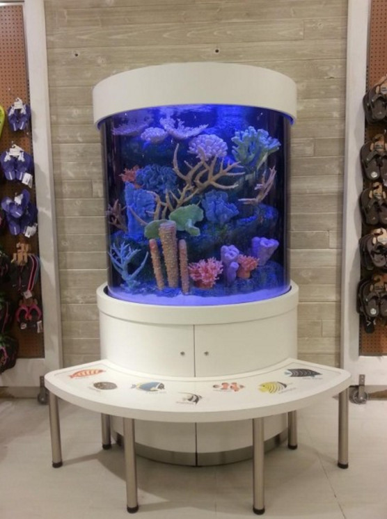 200 Gallon Corner Aquarium