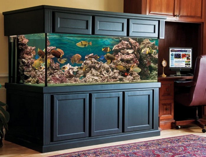 200 Gallon Aquarium Tank