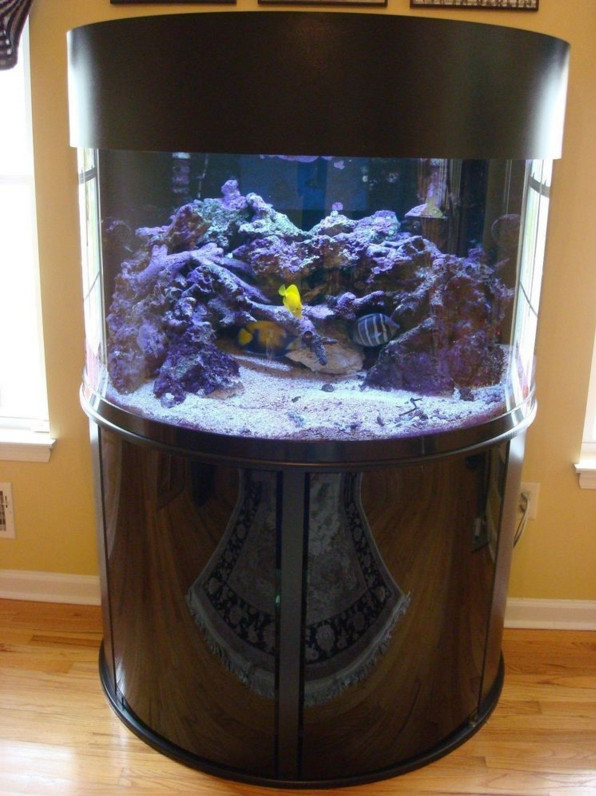 200 Gallon Oceanic Aquarium