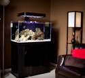 Rimless Aquarium Led