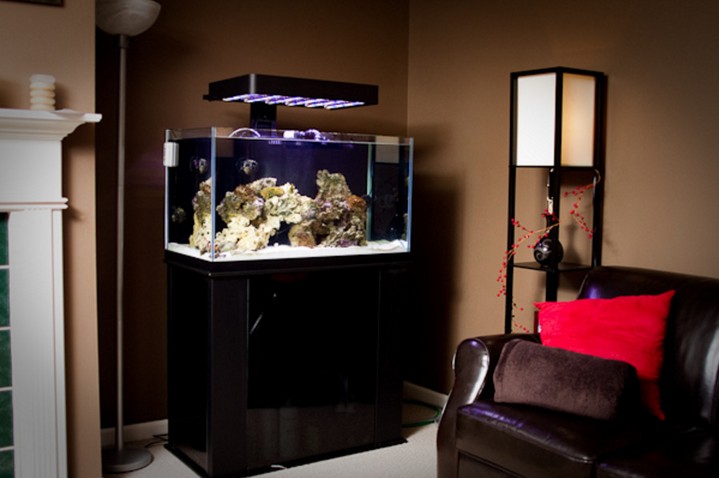 Rimless Aquarium Led