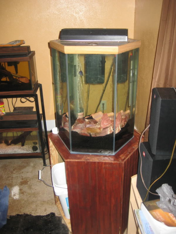 20 Gallon Long Aquarium Stand