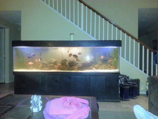 Jebo 300 Gallon Aquarium