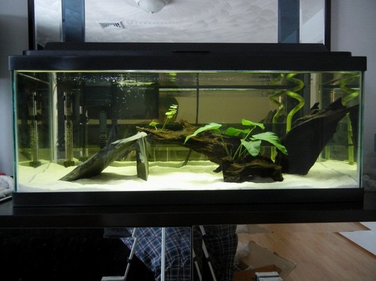 20 Gallon Aquarium Kits
