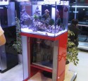 Rimless Aquarium Lighting