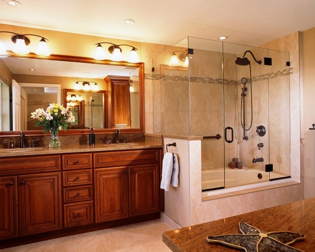 Shower Bath Combo Ideas