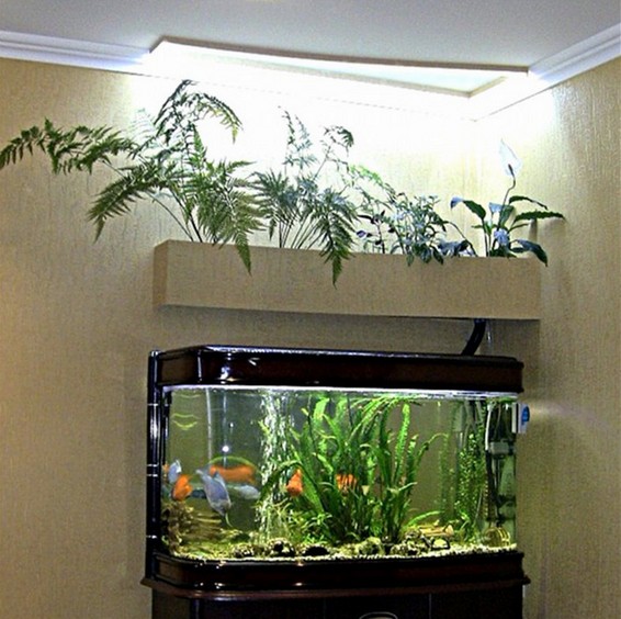300 Gallon Aquarium Lighting