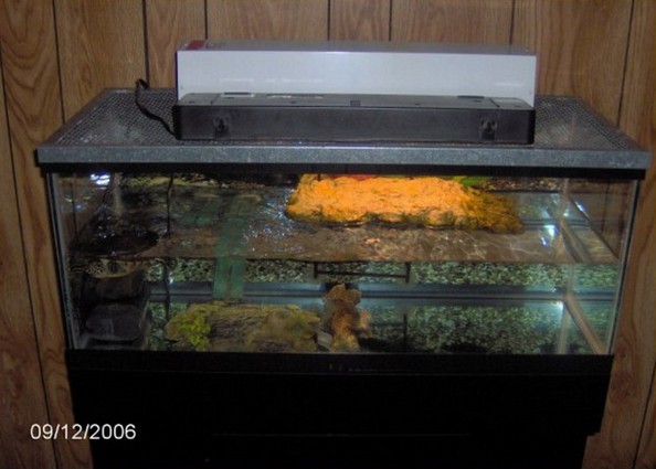 20 Gallon Aquarium Cover