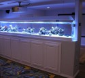 Ideas For Rimless Aquarium