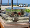 Rimless Aquarium External Overflow
