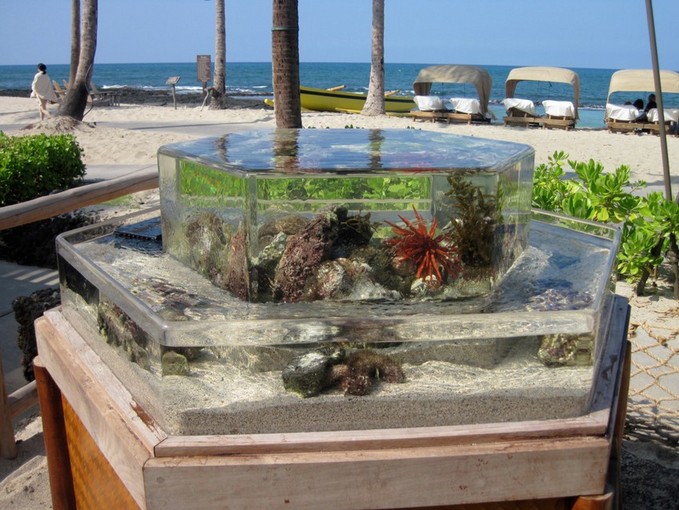 Rimless Aquarium External Overflow