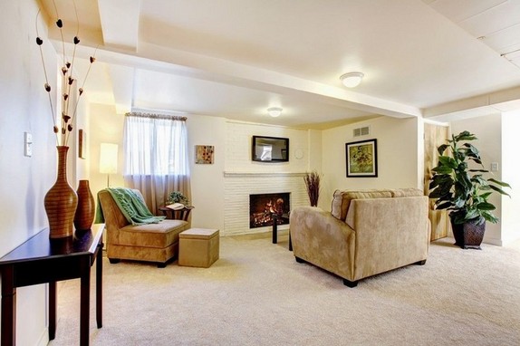 Basement Window Covering