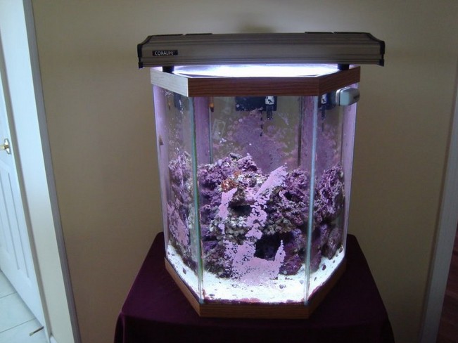 20 Gallon Hexagon Aquarium Hood