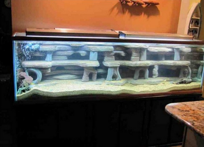 200 Gallon Aquarium Diy