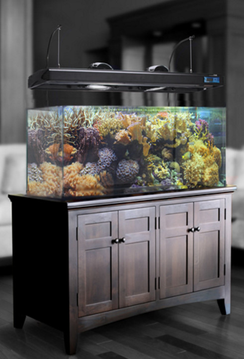 300 Gallon Hexagon Aquarium