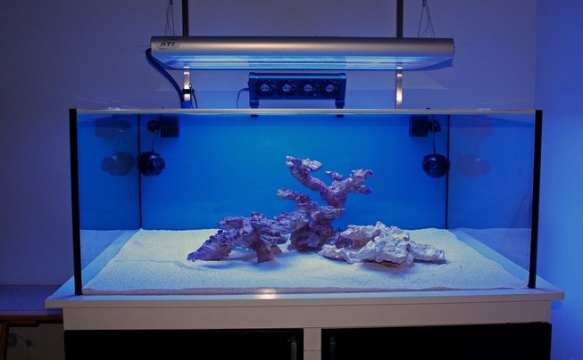 Rimless Aquarium Reef Ready